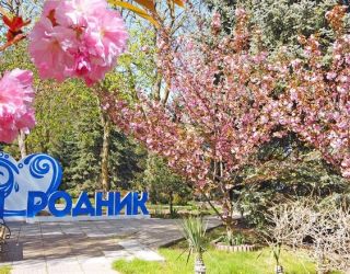 *Санаторий "Родник" г.Анапа