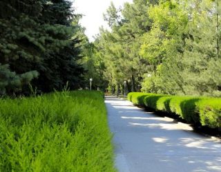 *Санаторий "Родник" г.Анапа