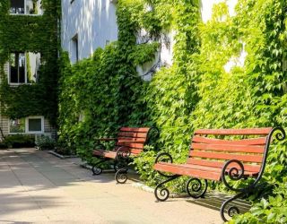 *Санаторий "Родник" г.Анапа