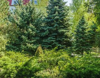 *Санаторий "Родник" г.Анапа