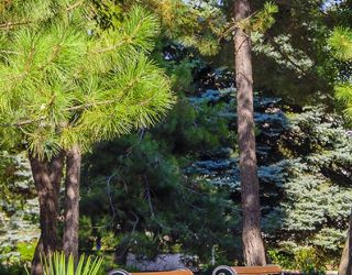 *Санаторий "Родник" г.Анапа