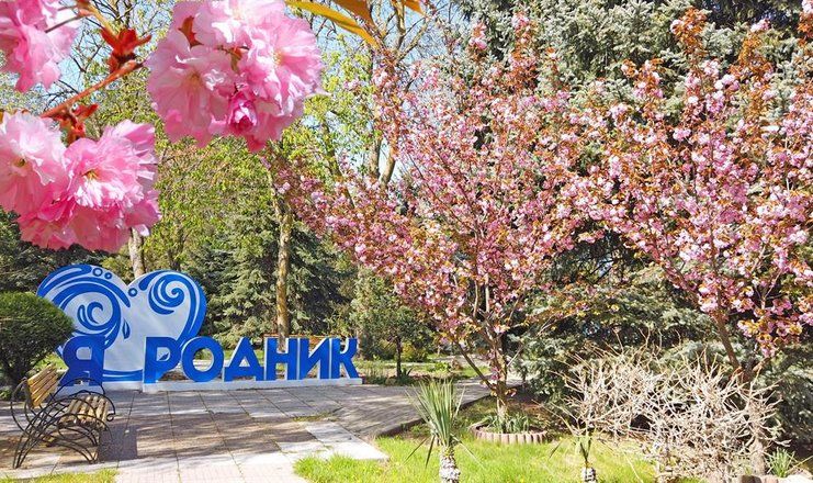 *Санаторий "Родник" г.Анапа