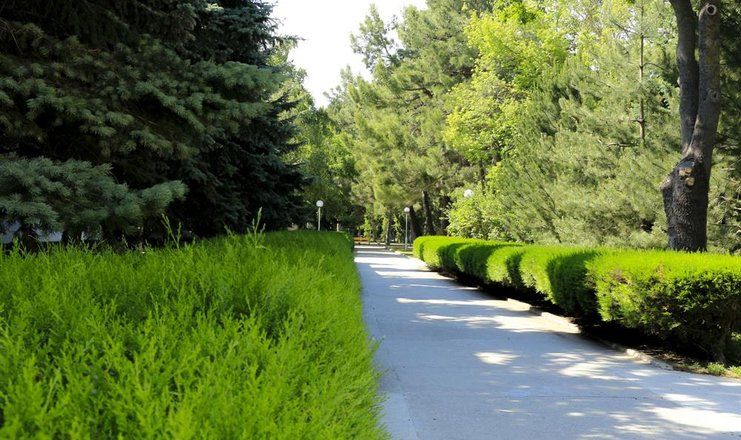 *Санаторий "Родник" г.Анапа