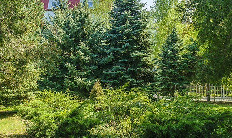 *Санаторий "Родник" г.Анапа