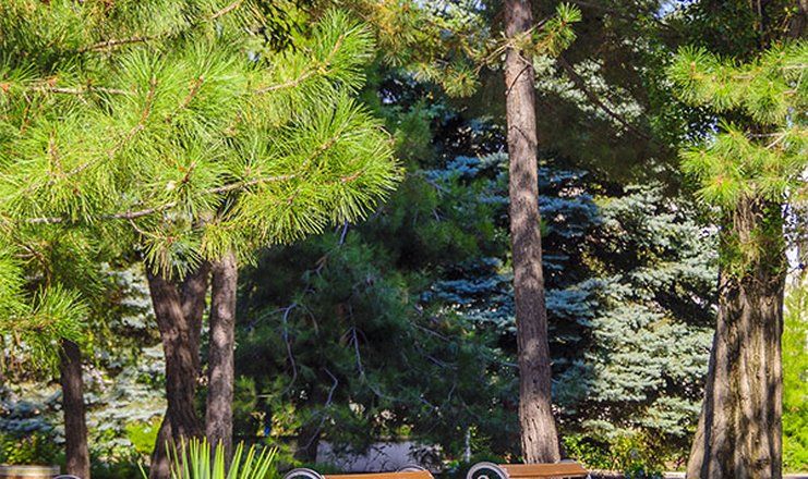 *Санаторий "Родник" г.Анапа